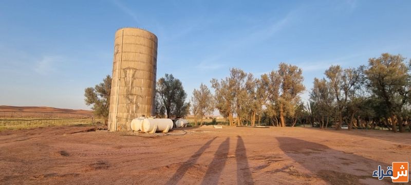 للبيع مزرعة على النفود بشقراء